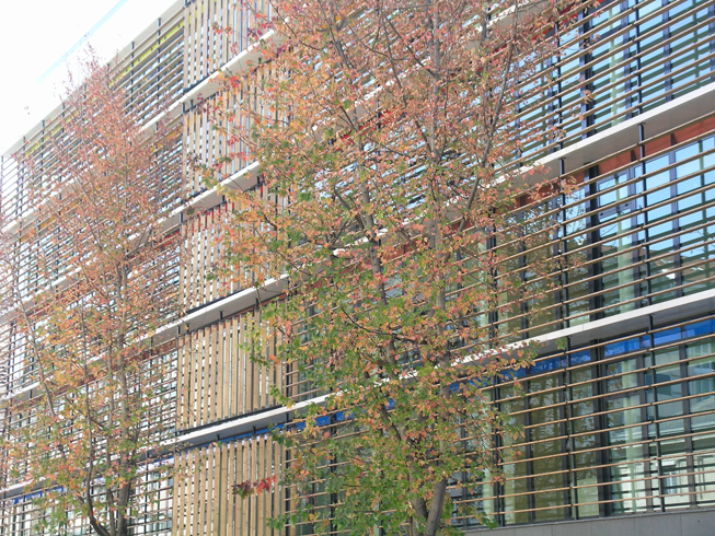 Bibliothèque Universitaire Chevreul de Lyon